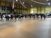 Gólyabál 2016