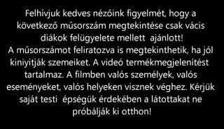 kampany11a