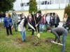Osztálykirándulás Erdélyben